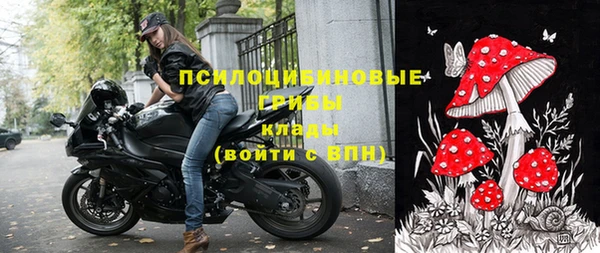 шишки Володарск